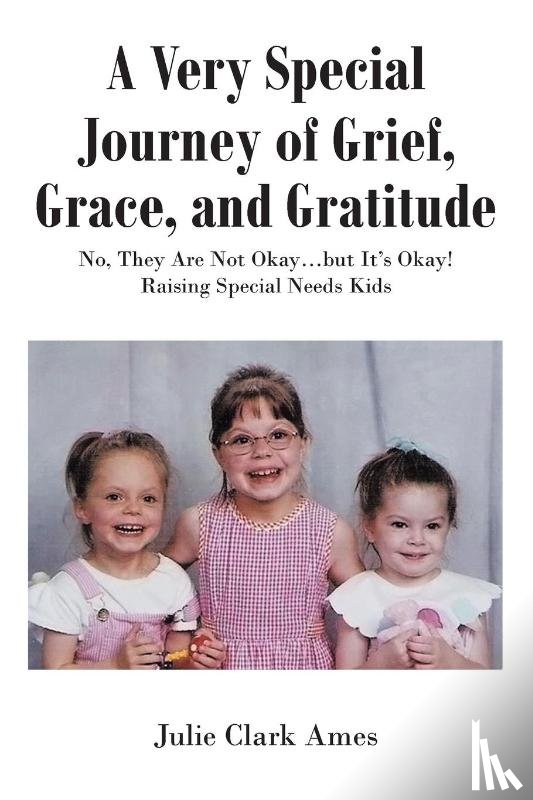 Ames, Julie Clark - A Very Special Journey of Grief, Grace, and Gratitude