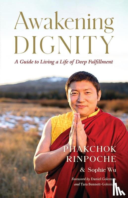Rinpoche, Phakchok - Awakening Dignity