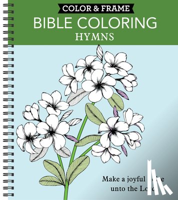 New Seasons, Publications International Ltd - COLOR & FRAME - BIBLE COLORING