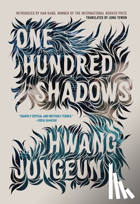 Jungeun, Hwang - One Hundred Shadows