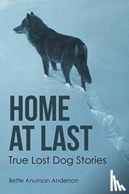 Anderson, Bette Anunson - Home at last