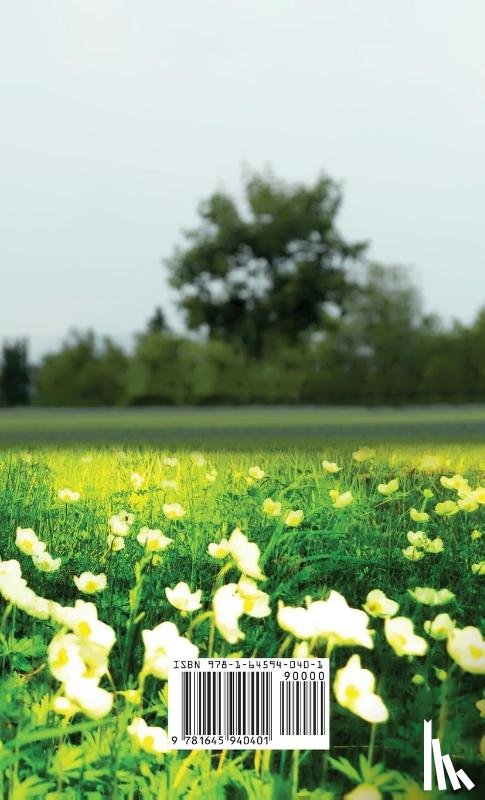 SUZETEO ENTERPRISES - Discrete Password Logbook