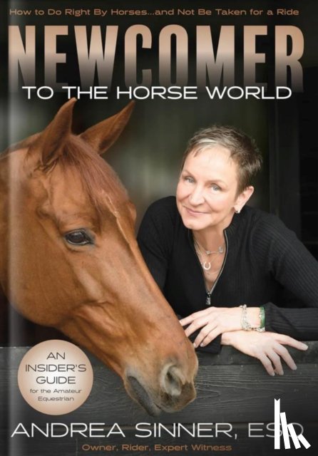 Sinner, Esq. - Newcomer to the Horse World
