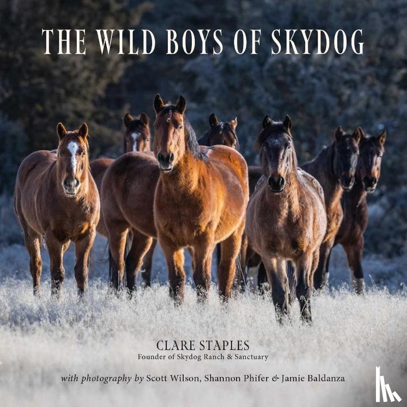 Staples, Clare - The Wild Boys of Skydog