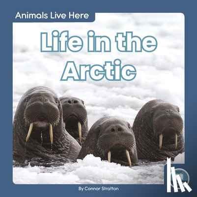 Stratton, Connor - Life in the Arctic