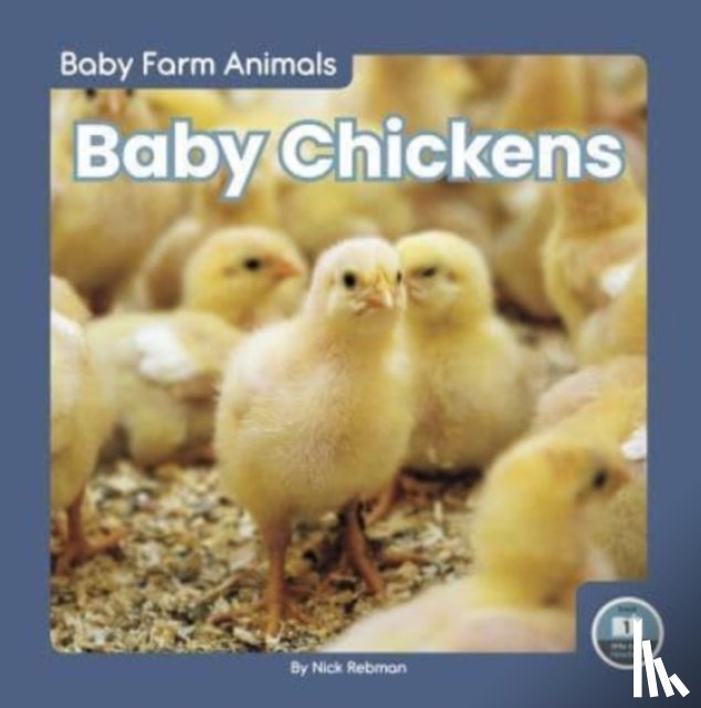 Rebman, Nick - Baby Chickens
