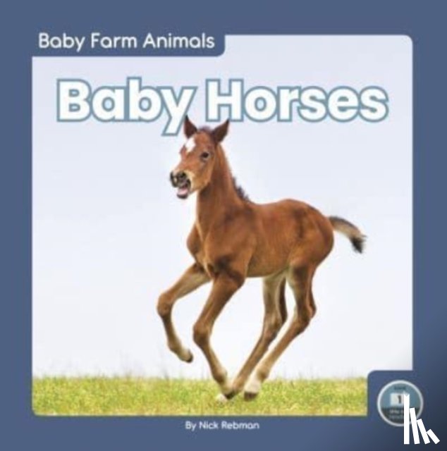 Rebman, Nick - Baby Horses