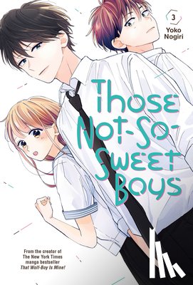 Nogiri, Yoko - Those Not-So-Sweet Boys 3