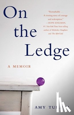 Turner, Amy - On the Ledge