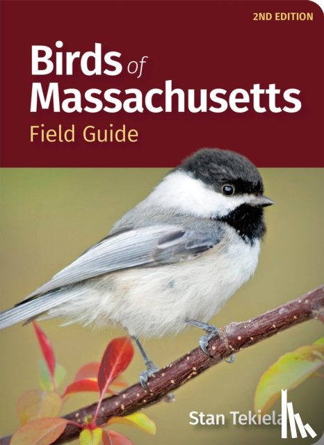 Tekiela, Stan - Birds of Massachusetts Field Guide