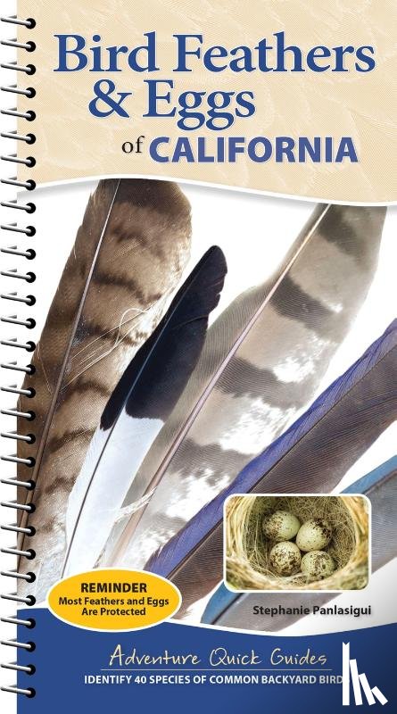Panlasigui, Stephanie - Bird Feathers & Eggs of California