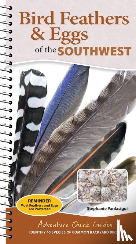 Panlasigui, Stephanie - Bird Feathers & Eggs of the Southwest