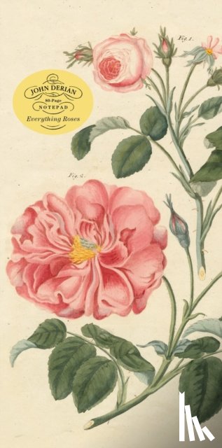Derian, John - John Derian Paper Goods: Everything Roses Notepad