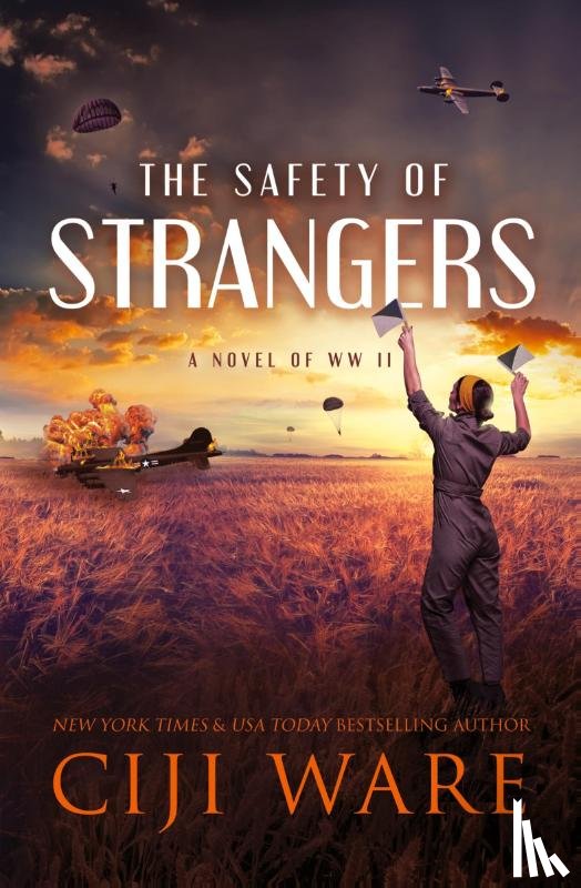 Ware, Ciji - The Safety of Strangers