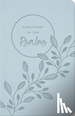 Dayspring - Sanctuary in the Psalms: KJV Promise Book, Imitation Leather, Blue