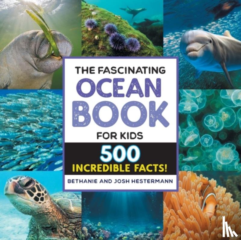Hestermann, Bethanie, Hestermann, Josh - The Fascinating Ocean Book for Kids