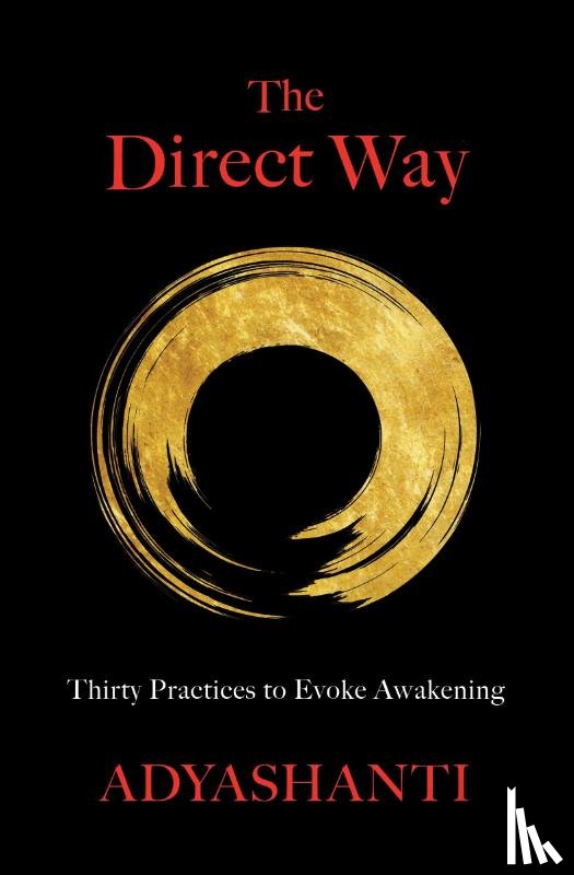 Adyashanti - The Direct Way