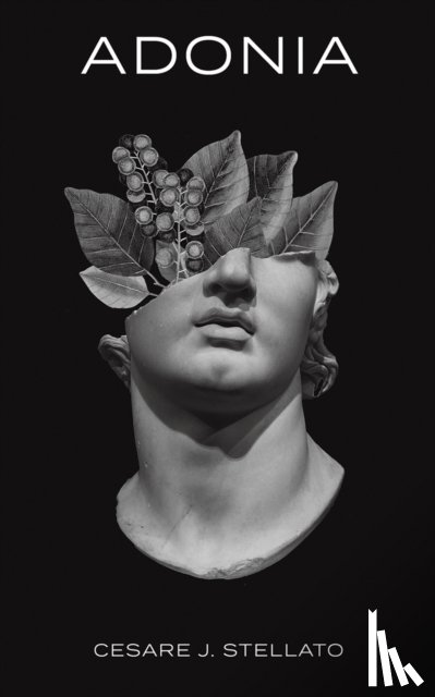 Stellato, Cesare J - Adonia