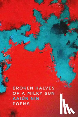 Nin, Aaiun - Broken Halves of a Milky Sun