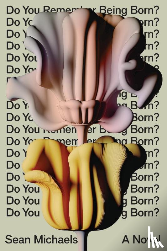 Michaels, Sean - Do You Remember Being Born?