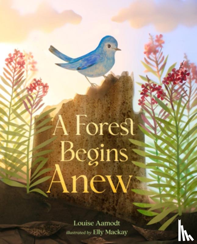 Aamodt, Louise M., MacKay, Elly - A Forest Begins Anew