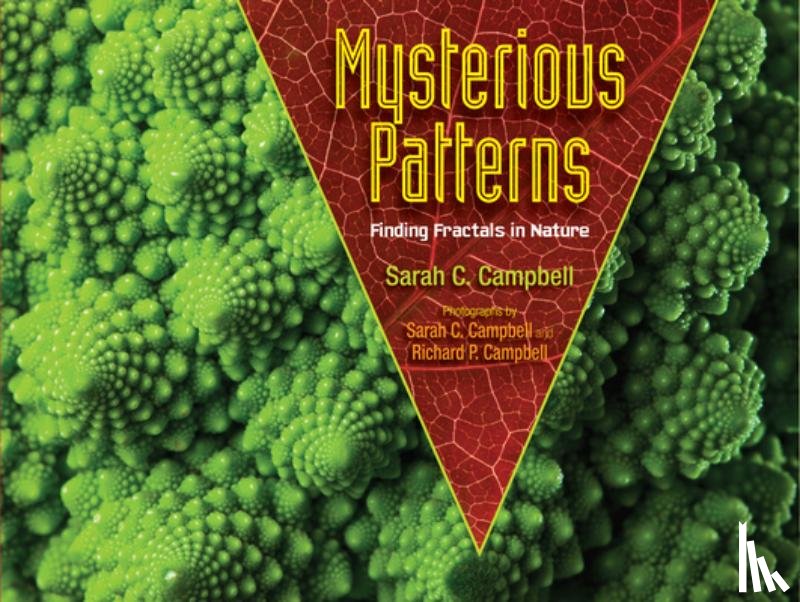 Campbell, Sarah C. - Mysterious Patterns