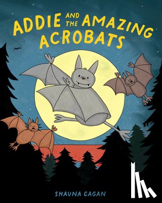 Cagan, Shauna - Addie and the Amazing Acrobats