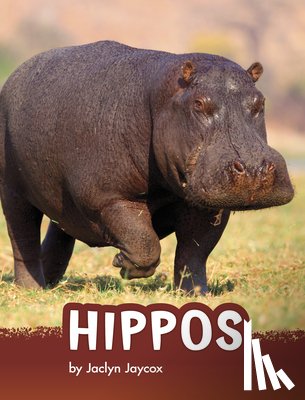 Jaycox, Jaclyn - Hippos