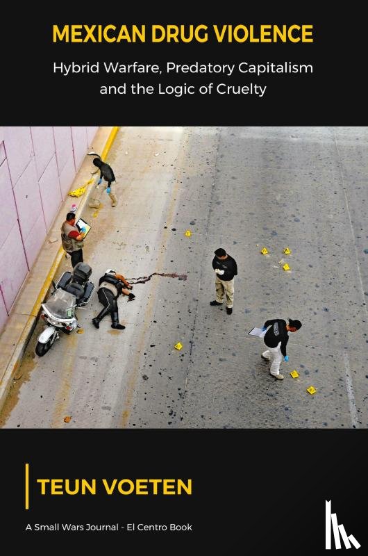 Voeten, Teun - Mexican Drug Violence