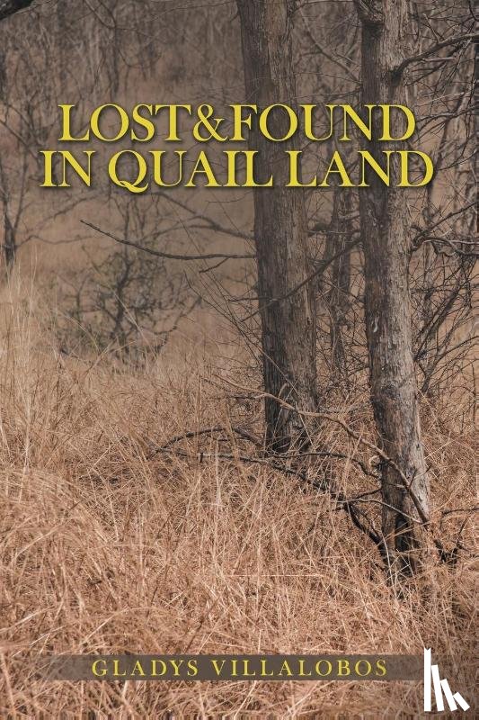 Villalobos, Gladys - Lost&Found in Quail Land