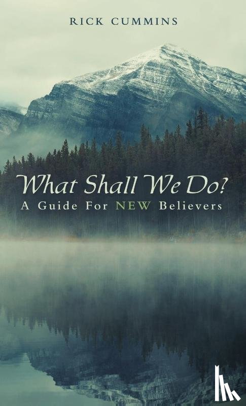 Cummins, Rick - What Shall We Do?