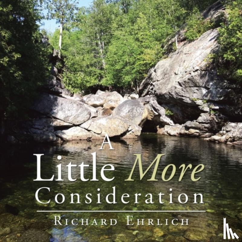Ehrlich, Richard - A Little More Consideration