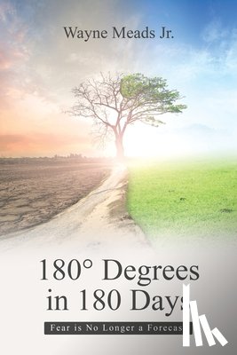 Meads Jr., Wayne - 180° Degrees in 180 Days
