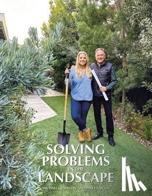 Glassman, Michael, Santos, Janey - Glassman, M: Solving Problems in the Landscape