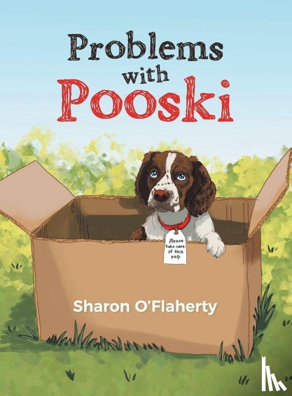 O'Flaherty, Sharon - Problems with Pooski