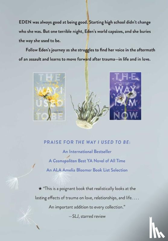 Smith, Amber - The Way I Used to Be Collection (Boxed Set)
