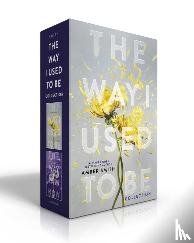 Smith, Amber - The Way I Used to Be Collection (Boxed Set)