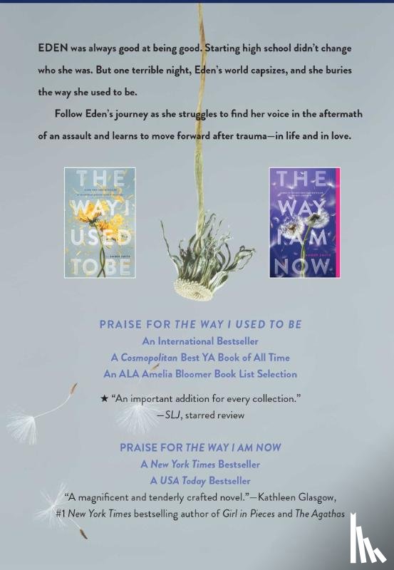 Smith, Amber - The Way I Used to Be Paperback Collection (Boxed Set)