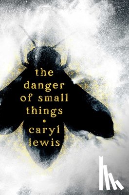 Lewis, Caryl - The Danger of Small Things