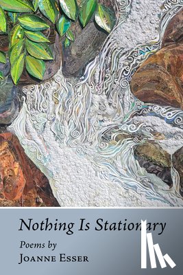 Esser, Joanne - Nothing Is Stationary