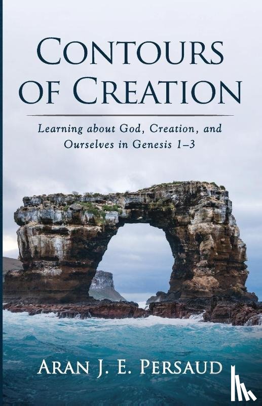 Persaud, Aran J E - Contours of Creation