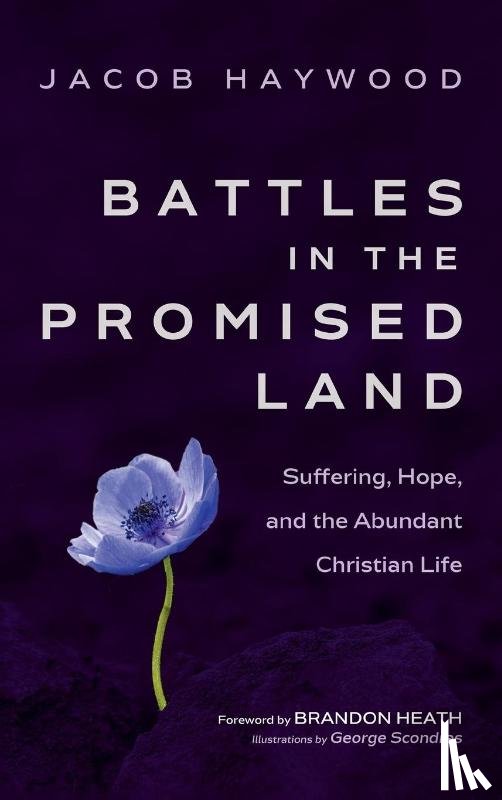 Haywood, Jacob - Battles in the Promised Land