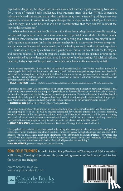 Cole-Turner, Ronald - Psychedelics and Christian Faith