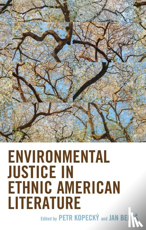  - Environmental Justice in Ethnic American Literature