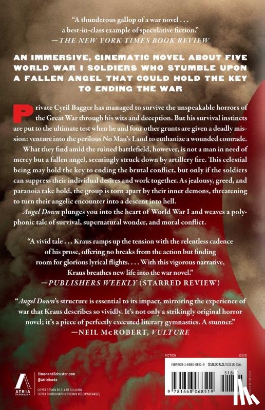 Kraus, Daniel - Angel Down (Pulitzer Prize Winner)