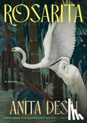Desai, Anita - Rosarita