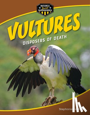 Feldstein, Stephanie - Vultures: Disposers of Death