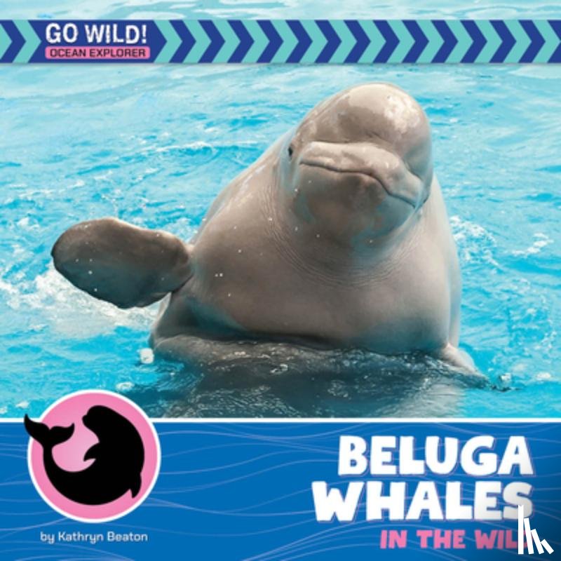Beaton, Kathryn - Beluga Whales in the Wild