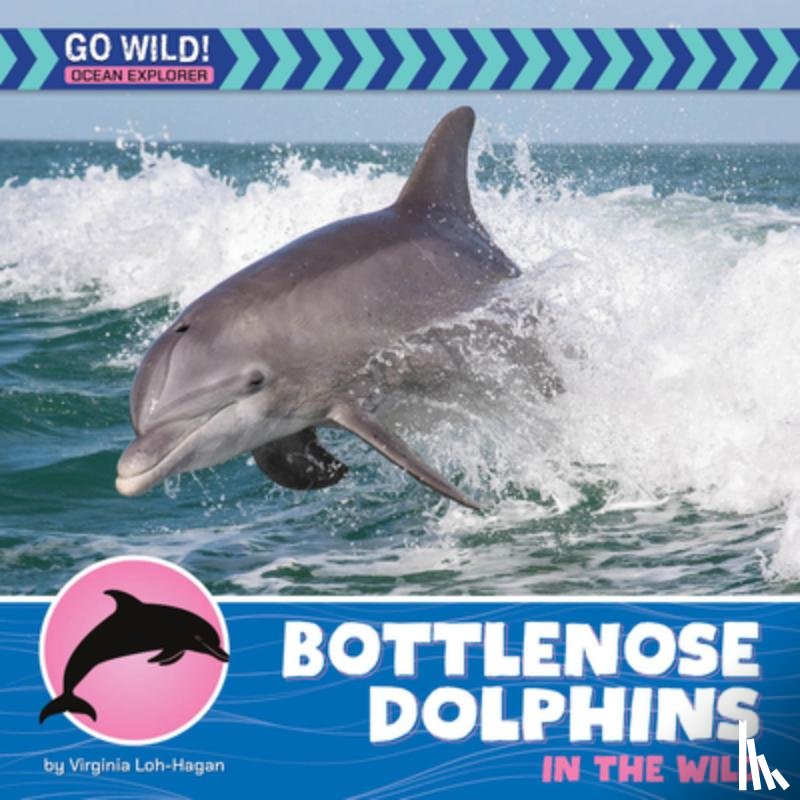 Loh-Hagan, Virginia - Bottlenose Dolphins in the Wild