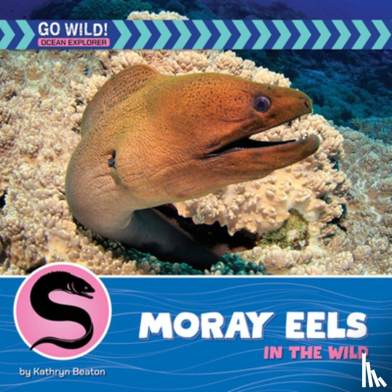 Beaton, Kathryn - Moray Eels in the Wild